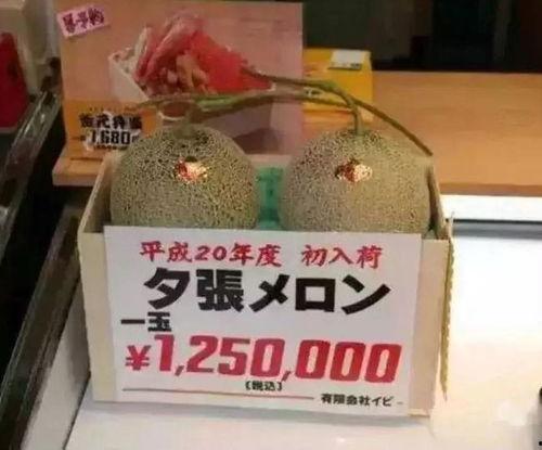 娱乐大瓜吃不停,大瓜不断来袭!